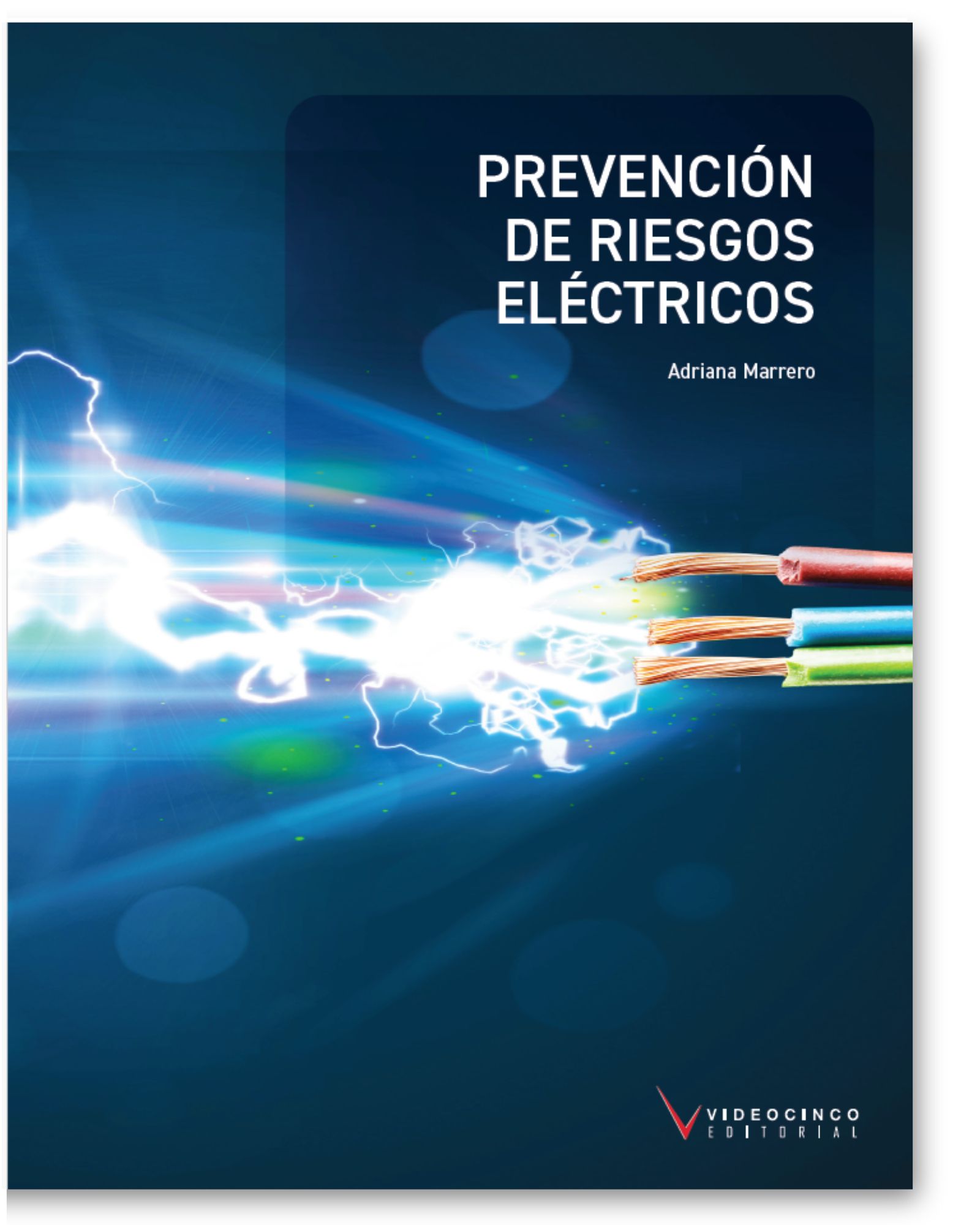 Prevencin de riesgos elctricos