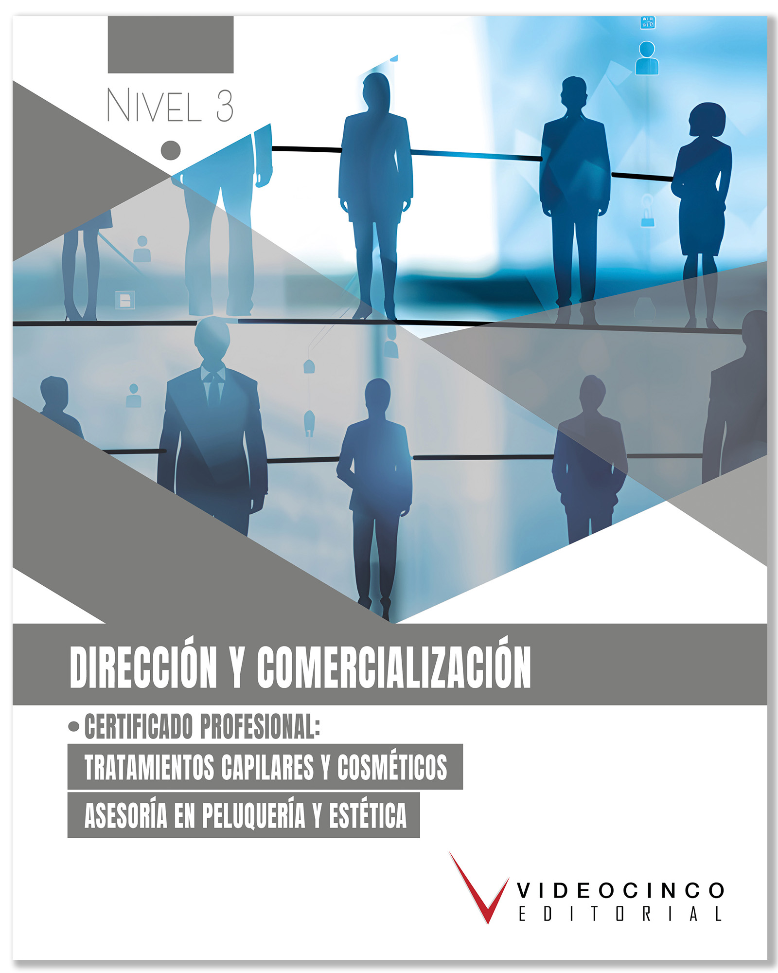 Direccin y comercializacin